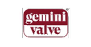 gemini valve