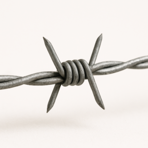 barb wire